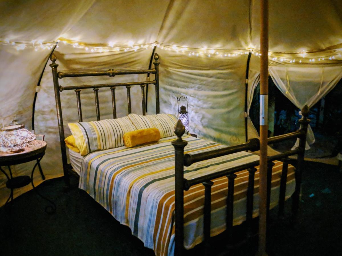 Wild Lotus Glamping Hotel Bolands Eksteriør billede